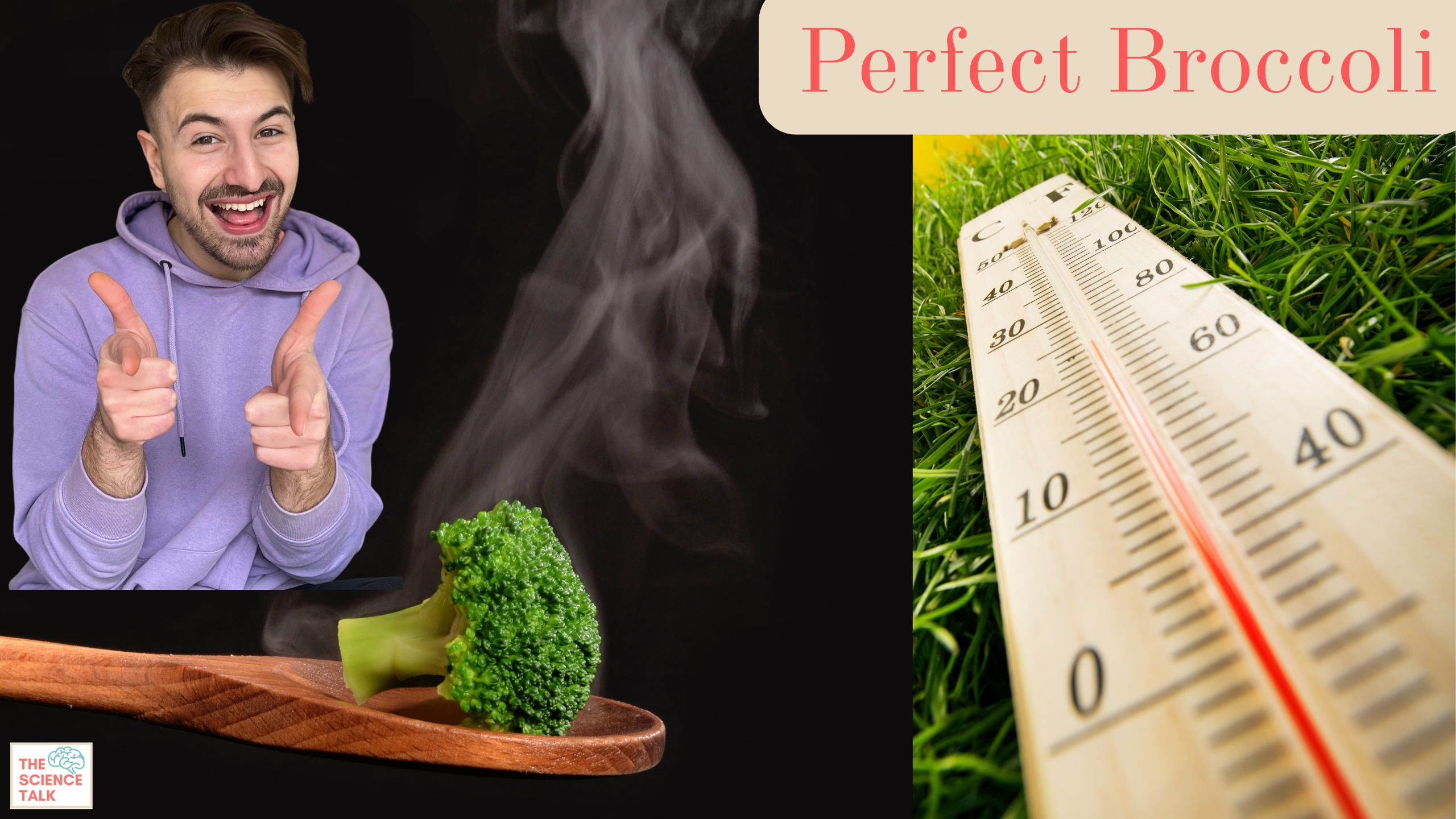 Perfect Broccoli & Quantum Thermometers ft. George Mihailescu